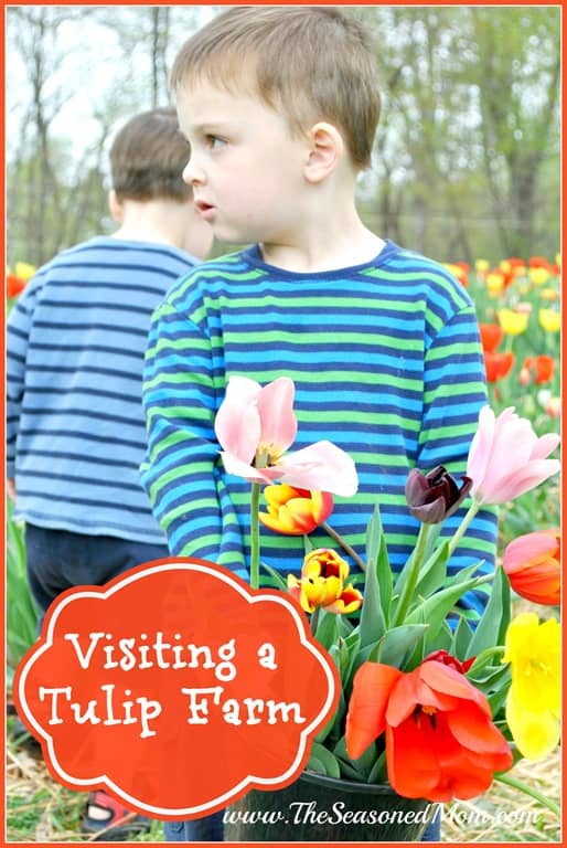 Visiting-a-Tulip-Farm.jpg