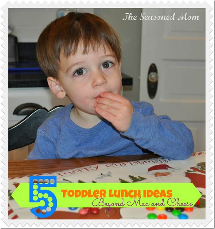 5 Toddler Lunch Ideas