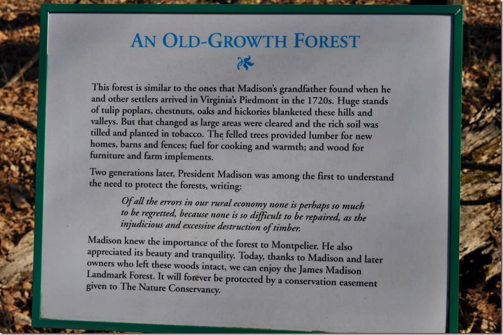 Forest Sign