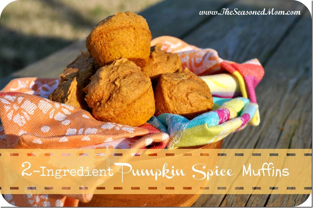 2-Ingredient Pumpkin Spice Muffins