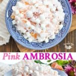 Long collage of Pink Ambrosia Salad