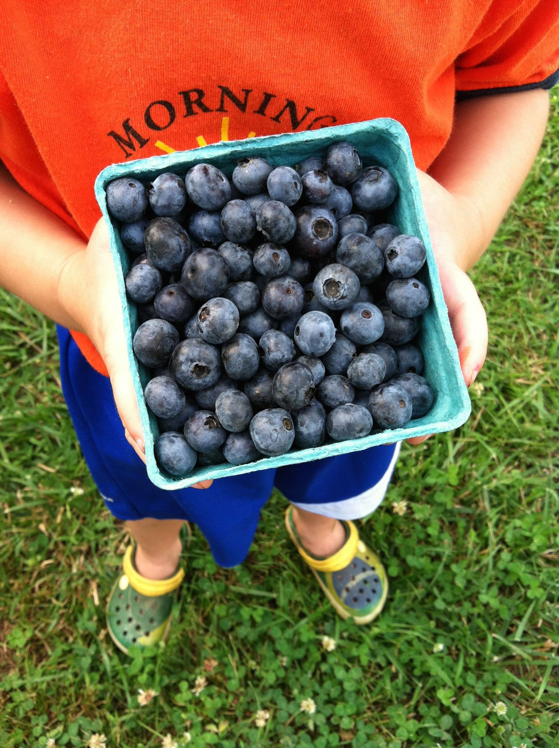Easy Homemade Baby Food Blueberry Peach Puree The Seasoned Mom