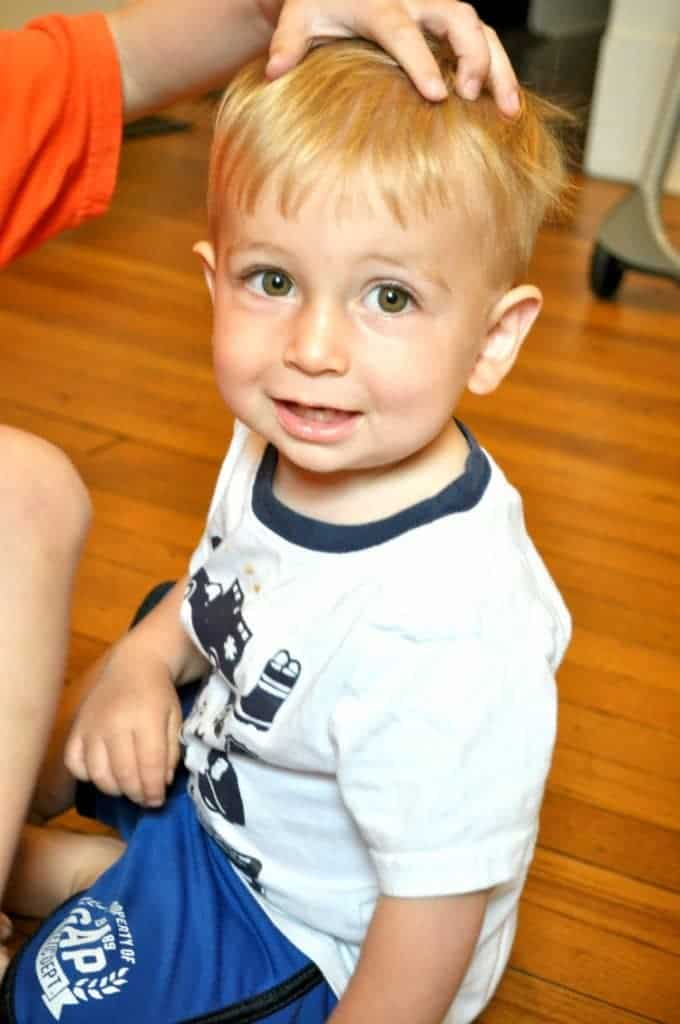 Microwave Pizza Dip The Seasoned Mom