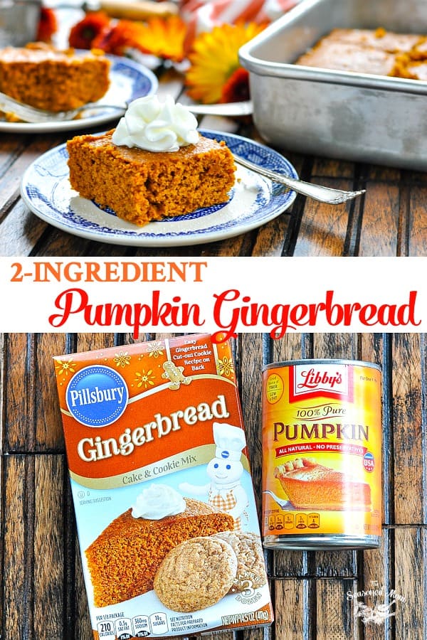 2 Ingredient Pumpkin Gingerbread The Seasoned Mom