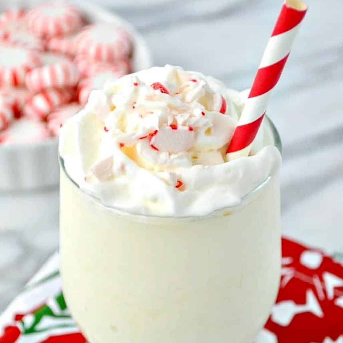 Peppermint Dairy Free Eggnog Protein Shake The Seasoned Mom