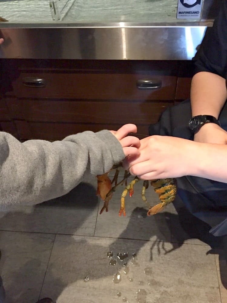 Casey with Lobster