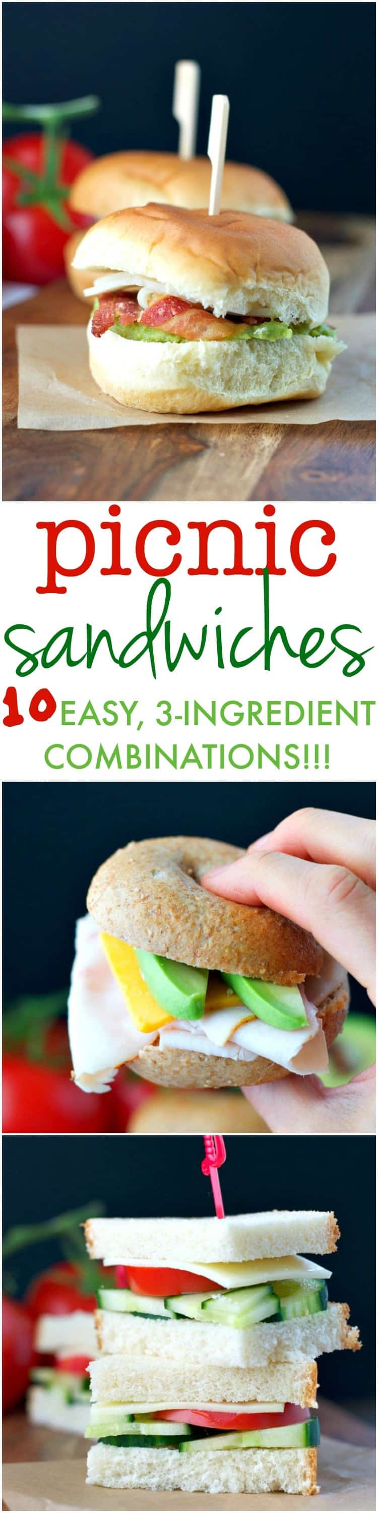 Picnic Sandwiches 10 Easy, 3Ingredient Combinations! The Seasoned Mom