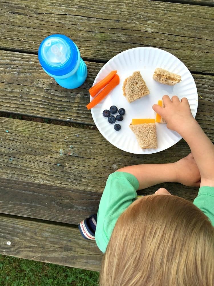 An overhead shot of a small boy eating picnic sandwiches from a white plate