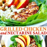 Long collage of Grilled Chicken with Nectarine Salad