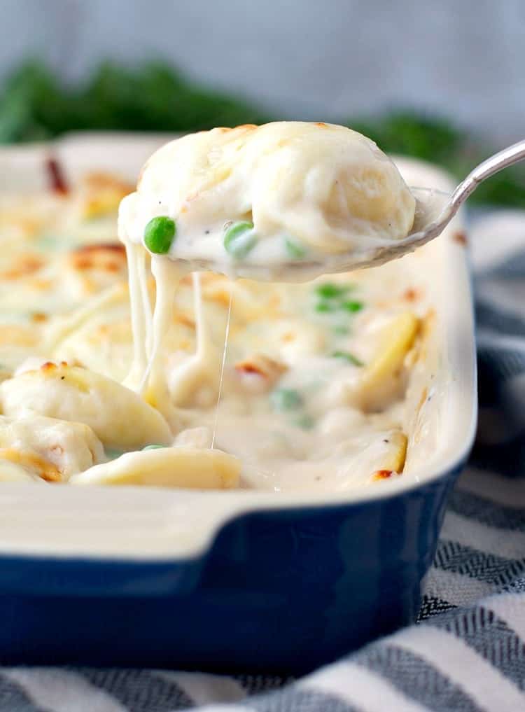 A close up of chicken and ravioli in alfredo sauce on a serving spoon