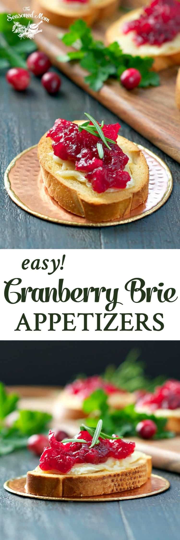 These Easy Cranberry Brie Appetizers are a quick, make-ahead party food to add to your holiday table -- and they're ready in less than 30 minutes!