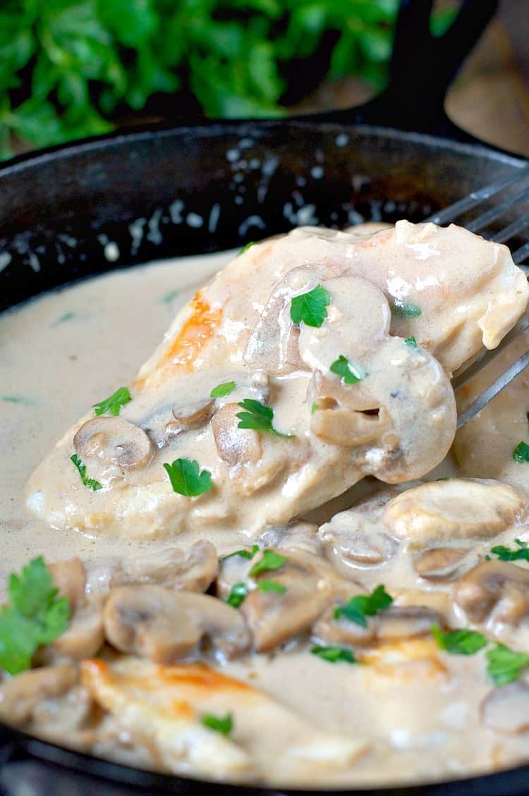 A close up of chicken with mushroom sauce