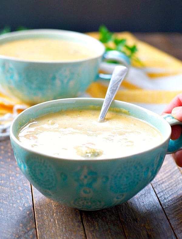 Crock Pot Broccoli Cheese Soup with Ham The Seasoned Mom