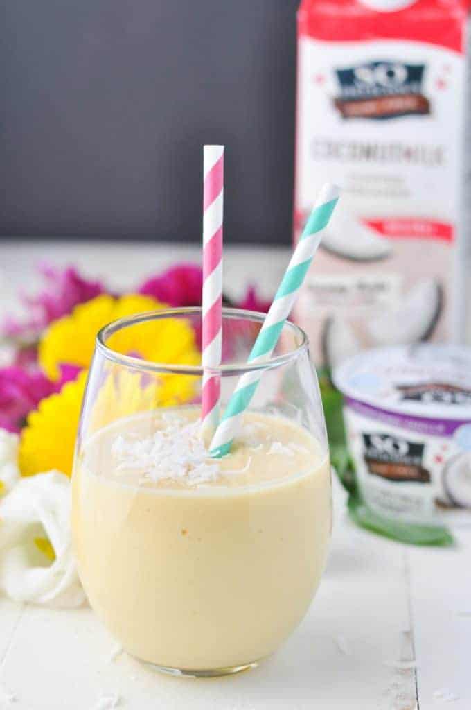 3Ingredient Tropical Coconut Smoothie The Seasoned Mom