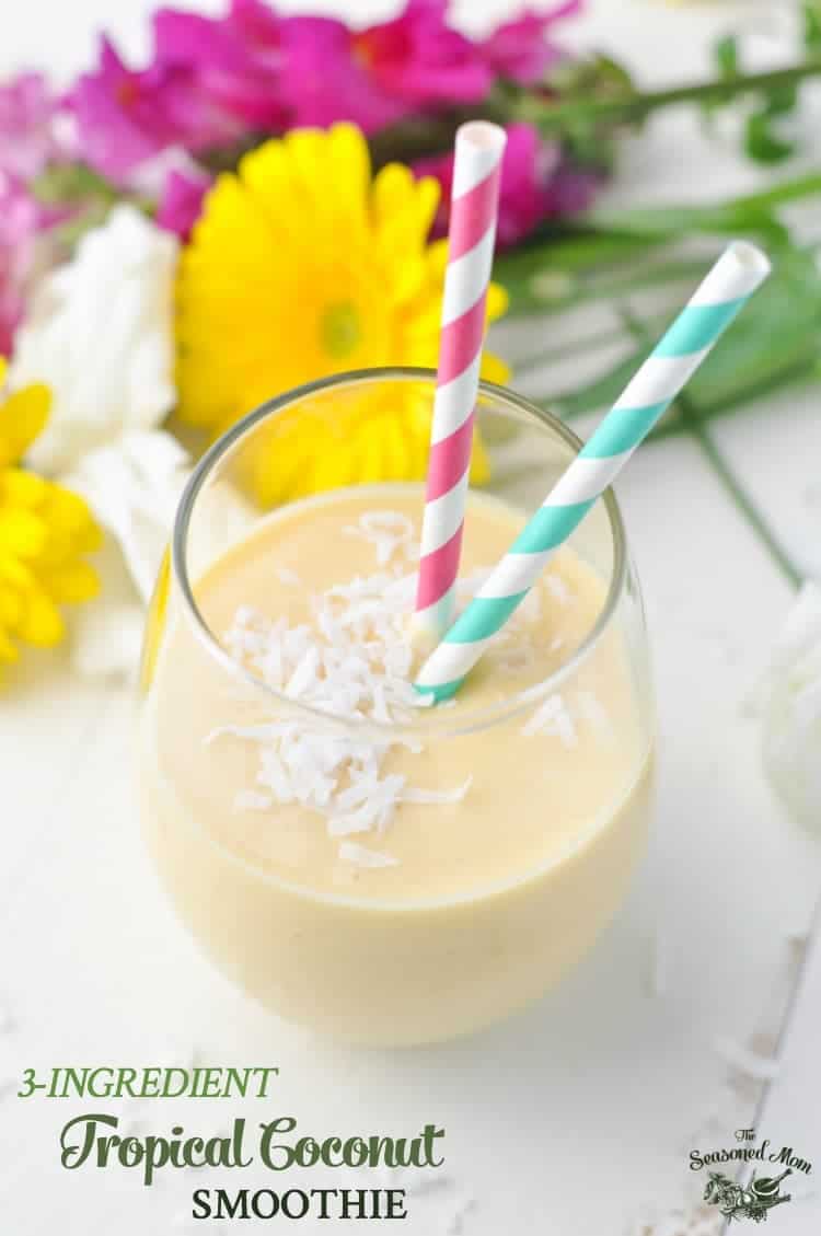 3Ingredient Tropical Coconut Smoothie The Seasoned Mom