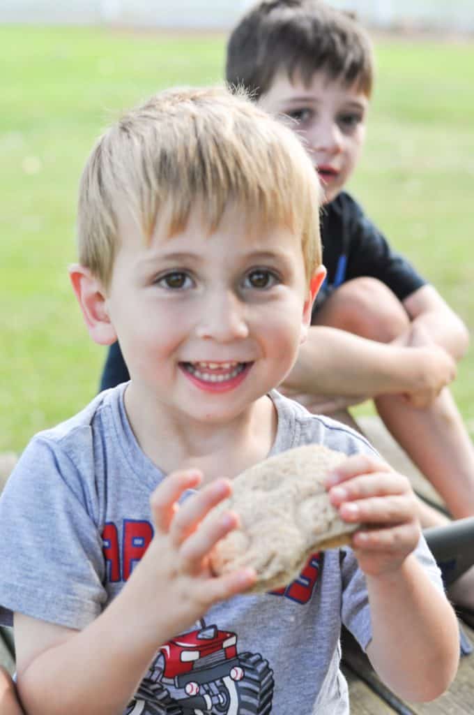 The Perfect Peanut Butter and Jelly Sandwich The Seasoned Mom