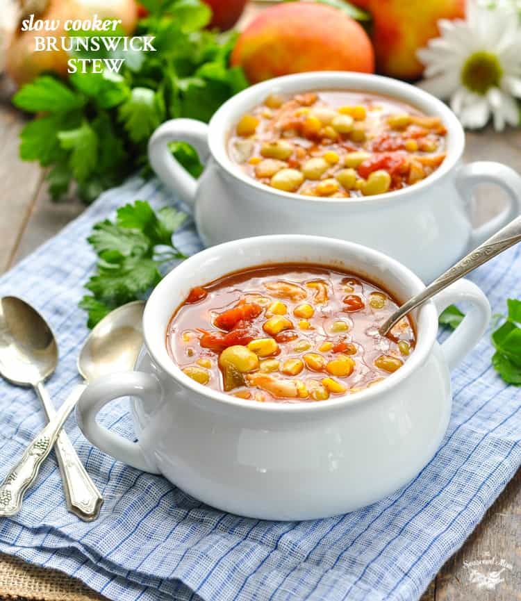 Slow Cooker Brunswick Stew The Seasoned Mom
