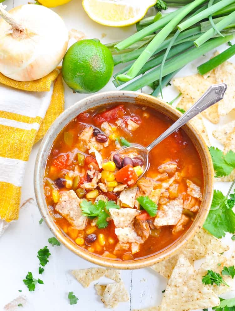 Slow-Cooker Chicken Tortilla Soup - The Seasoned Mom