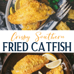 Long collage image of crispy southern fried catfish