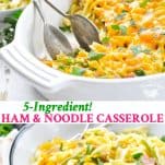 Long collage of 5 ingredient ham and noodle casserole