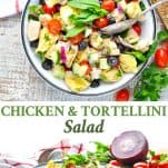 Long collage of Chicken and Tortellini Salad