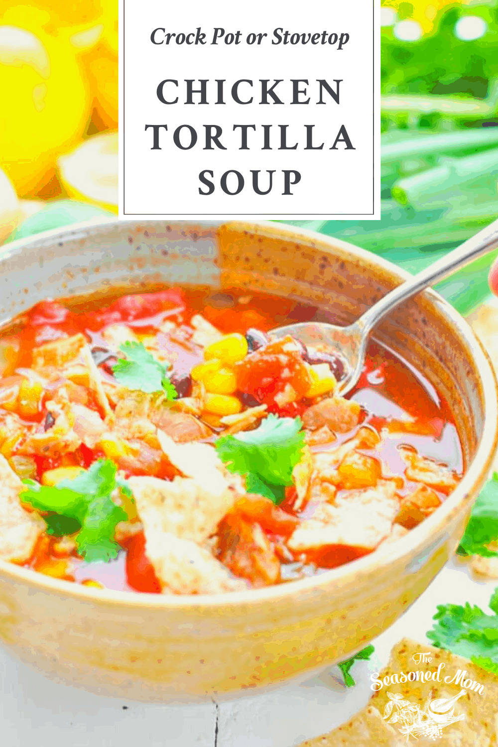 Front shot of a spoon in a bowl of chicken tortilla soup with a text title box at the top