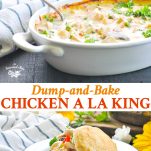 Long collage image of chicken a la king