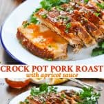 Long collage of Crock Pot Pork Roast with Apricot Sauce