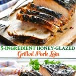 Long collage of 5 ingredient Grilled Pork Loin