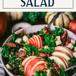 Side shot of a bowl of fall salad with text title box at top
