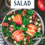 Overhead image of fall salad in a bowl with text title overlay