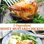 Long collage image of Honey Mustard Chicken