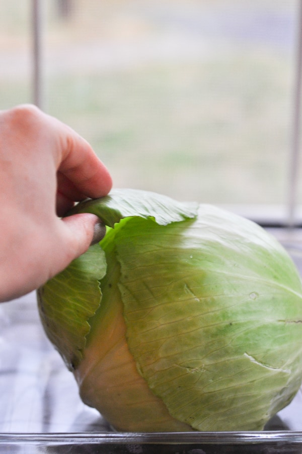 A head of green cabbage sits on a countertop. A woman removes one of the outer leaves.