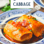 Polish stuffed cabbage rolls on a blue and white plate with text title overlay