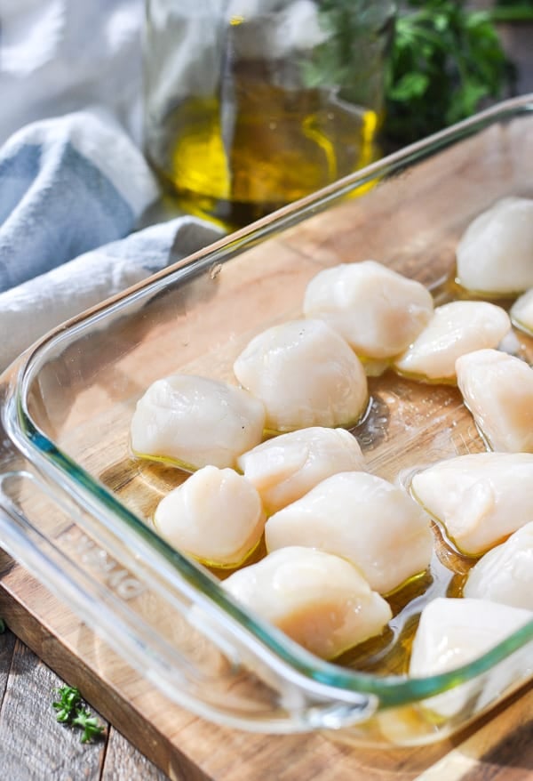 Raw scallops tossed with olive oil in a glass dish