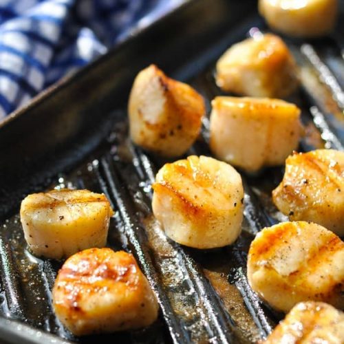 Grilled Scallops Recipe The Seasoned Mom