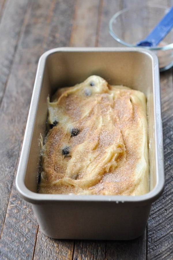 Blueberry bread batter in a loaf pan