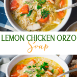 Long collage image of lemon chicken orzo soup.