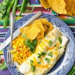 Overhead image of chicken enchiladas on a blue and white plate