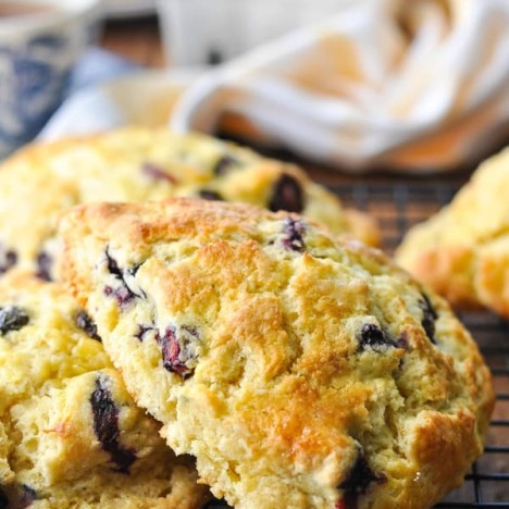 Close up front shot of a bakery style blueberry scone recipe
