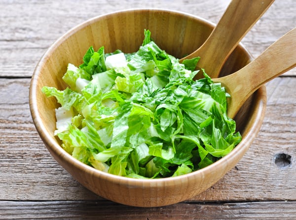 Salad bowl full of romaine lettuce