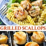 Long collage image of Grilled Scallops Recipe