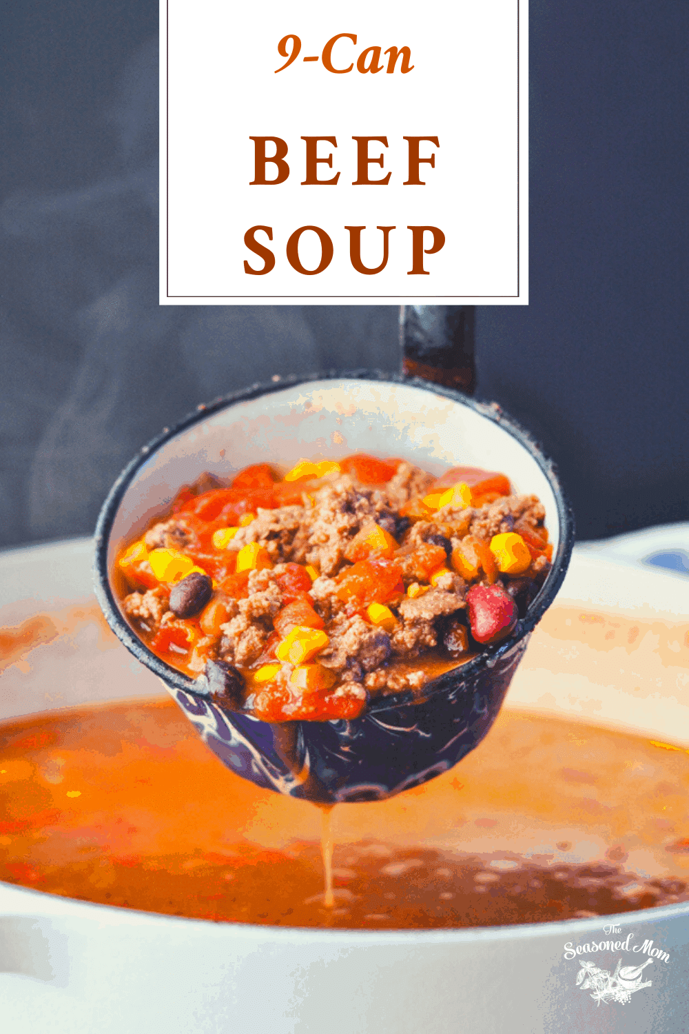 9 Can Beef Soup {Stovetop or Crock Pot} The Seasoned Mom