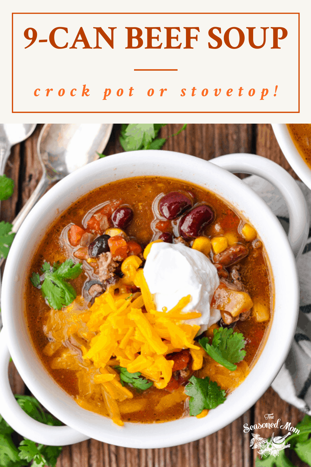 9 Can Beef Soup {Stovetop or Crock Pot} The Seasoned Mom