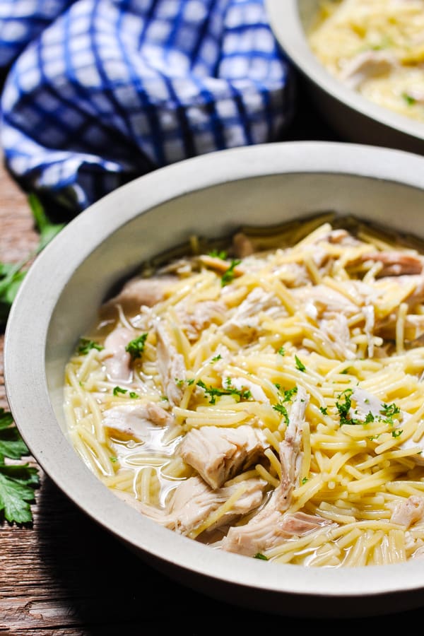 Close up side shot of a bowl of amish chicken and noodles garnished with fresh parsley