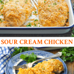 Long collage image of Sour Cream Chicken