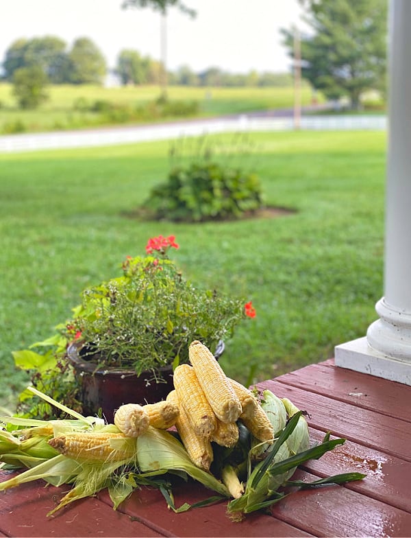 Corn cobs on a farmhouse porch