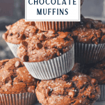 Front shot of a close up tray of chocolate muffins and text title box at the top