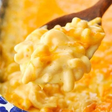 Close up shot of a spoonful of creamy baked mac and cheese