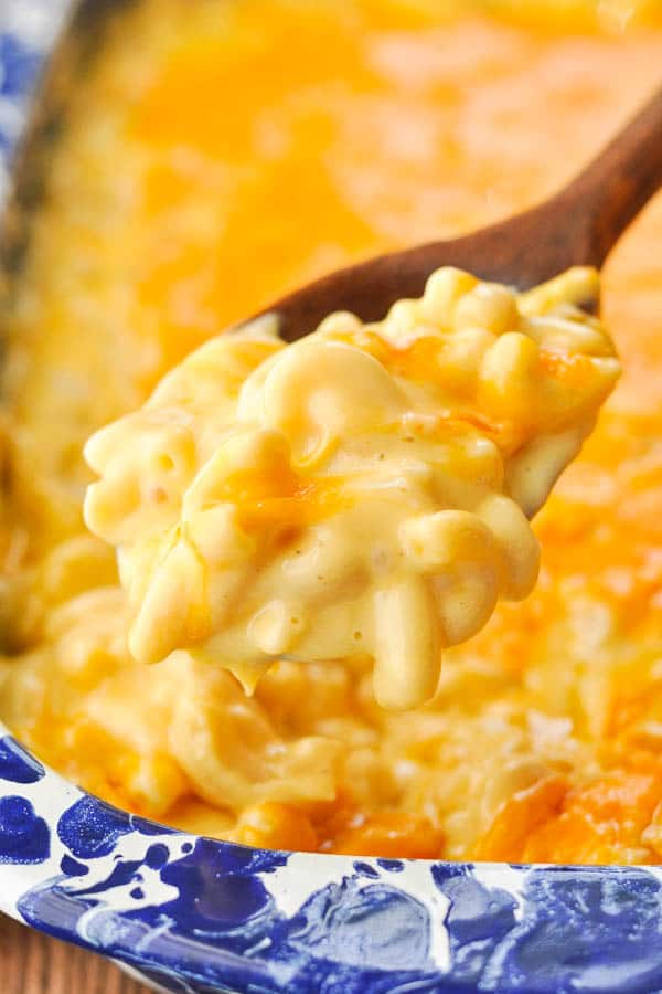 Close up shot of a spoonful of creamy baked mac and cheese